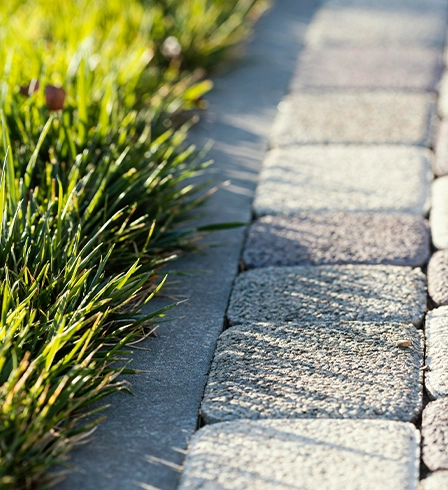 kostka brukowa Kampinos