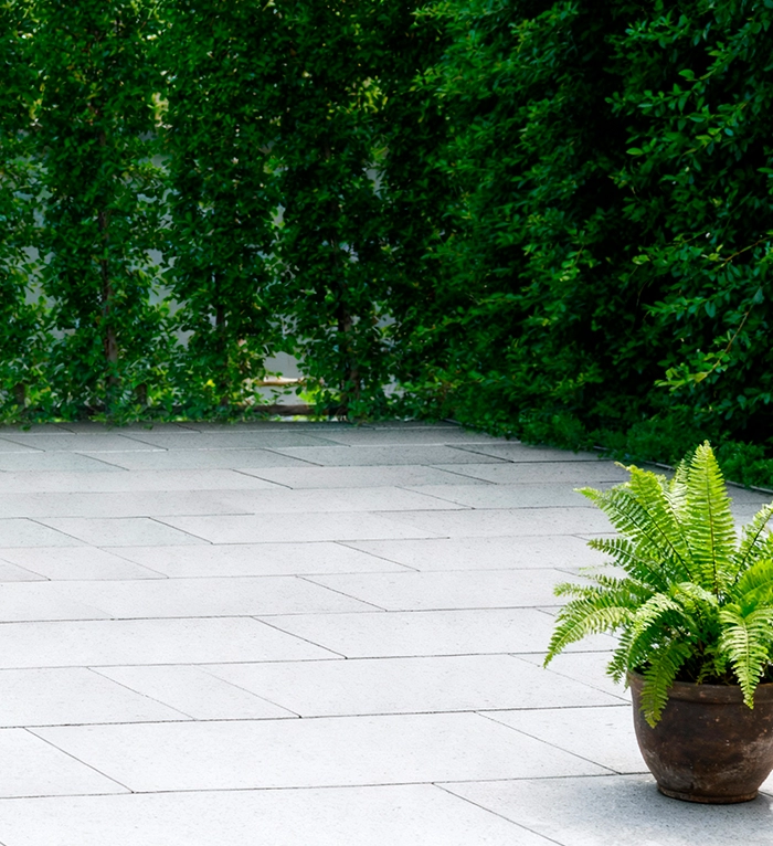 płyty tarasowe MUSSO Kampinos